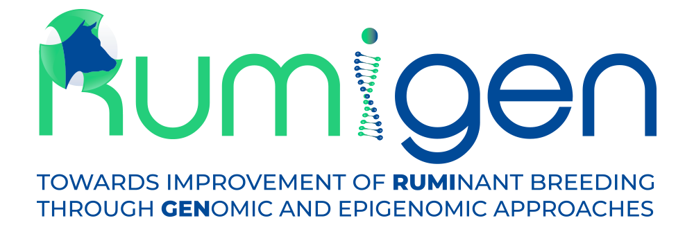 RUMIGEN